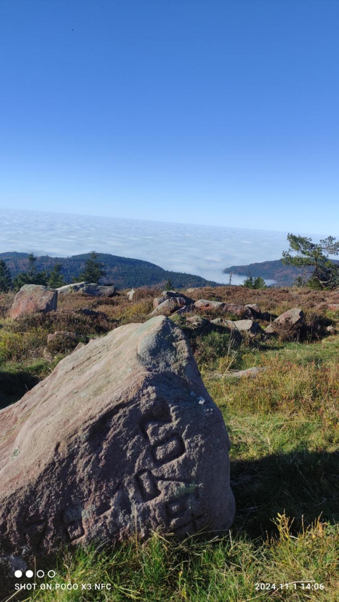 Naturblick Baiersbronn Exterior foto